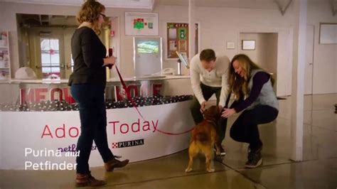 Purina TV Spot, 'National Dog Show: The Power of Pets'