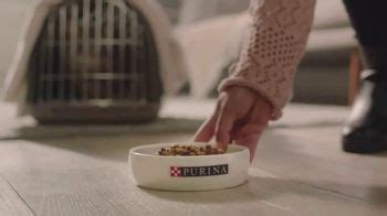 Purina TV Spot, 'Petfinder: You Care'