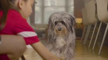 Purina TV commercial - Purina Cares: Clean Future