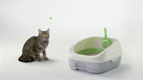 Purina Tidy Cats Breeze TV Spot, 'A Clean Routine' created for Purina Tidy Cats
