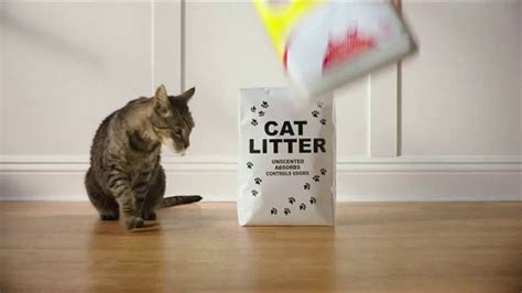 Purina Tidy Cats LightWeight TV commercial - The Surprise