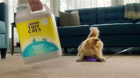 Purina Tidy Cats TV Spot, 'Every Home, Every Cat' created for Purina Tidy Cats