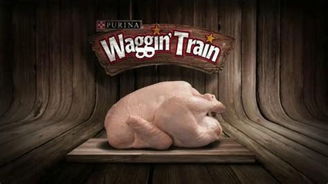 Purina Waggin Train TV commercial