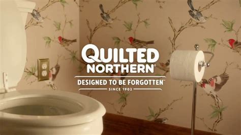 Quilted Northern TV Spot, 'Birds'