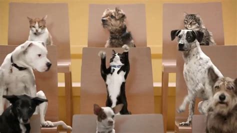 Rachael Ray Nutrish Cat Treats TV Spot, 'Animal Audience' featuring Richie Moriarty