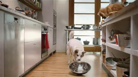 Rachael Ray Nutrish TV Spot, 'If Pets Could Make Their Food' Ft Rachael Ray featuring Brian Cade
