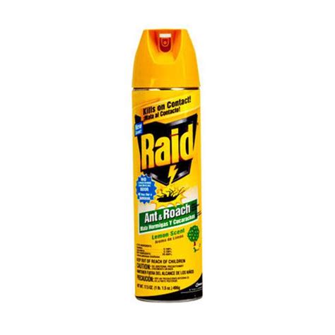 Raid Ant & Roach logo