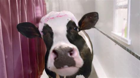 Real California Milk TV commercial - Shower Singer