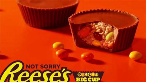 Reeses Pieces Big Cup TV commercial - Decisions