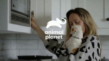 Resolve Carpet Cleaner TV Spot, 'Animal Planet: Thor'