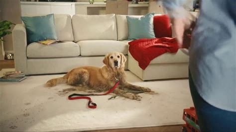 Resolve Pet Expert TV Spot, 'Pet Mess Solved' created for Resolve Carpet Cleaner