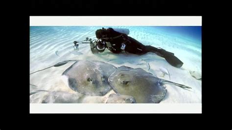 Rolex TV Spot, 'National Geographic: David Doubilet' featuring David Doubilet
