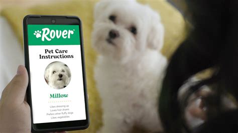 Rover.com TV Spot, 'Real Pet Parent Care Instructions'