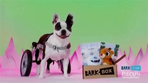 Rudolph The Red-Nosed Reindeer BarkBox TV commercial - Holidays: Celebrate Your Perfect Pup