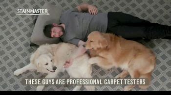 STAINMASTER TV Spot, 'Professional Carpet Testers: Charlie and Bodie'