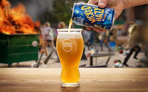 Samuel Adams Wicked Hazy IPA TV Spot, 'Your Cousin From Boston Frees the Horses' Feat. Gregory Hoyt created for Samuel Adams