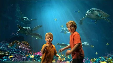 SeaWorld One Adventures TV Spot featuring Laurie Naughton