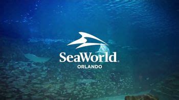 SeaWorld Orlando TV Spot, 'Coming Spring: Pipeline' created for SeaWorld