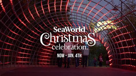 SeaWorld San Diego Christmas Celebration Black Friday Sale TV Spot, 'BOGO 50 Off' Song by Francesco D'andrea featuring Laya Hoffman