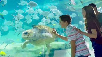 SeaWorld TV Spot, 'Emoción y aventura'