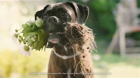 Seresto TV Spot, 'Whatever Your Dog Brings Home'
