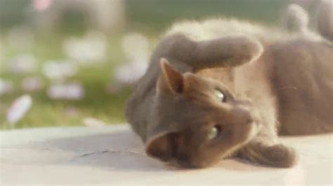Sheba TV Spot, 'Cat Heaven' featuring Alexandra Ella
