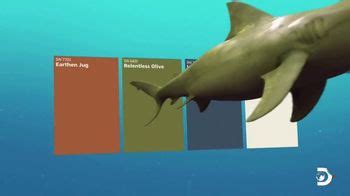 Sherwin-Williams TV commercial - Discovery Channel: Shark Week 2022