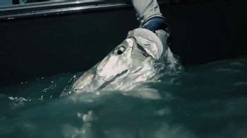 Shimano Fishing TV commercial - Caught