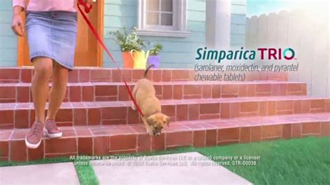 Simparica Trio TV commercial - Simplifies Protection