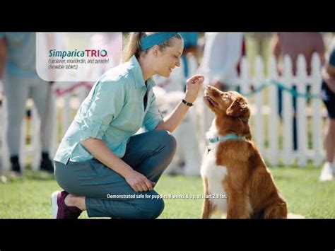Simparica Trio TV commercial - Triple Protection
