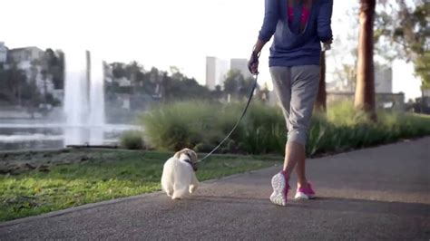 Skechers GoWalk 2 TV Spot, 'Dogs'