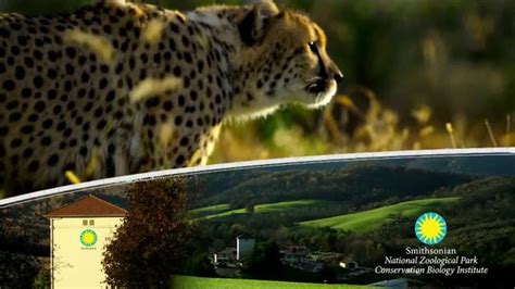 Smithsonian National Zoo Conservation Biology Institute TV commercial - Future