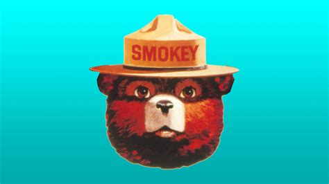 Smokey Bear Campaign logo