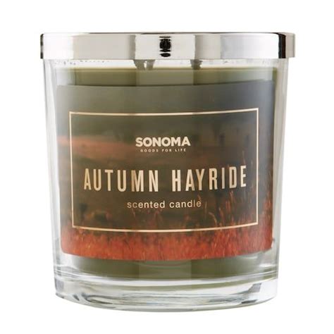 Sonoma Goods for Life Autumn Hayride 14-oz. Candle Jar