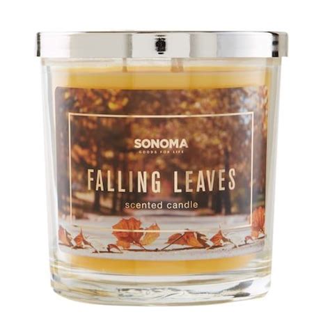 Sonoma Goods for Life Falling Leaves 14-oz. Candle Jar logo