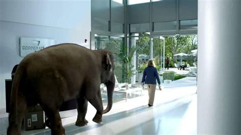 Spiriva TV commercial - Office Elephant
