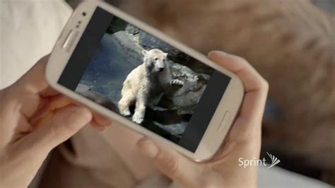 Sprint TV Spot, 'Animals Sing Deck the Halls'