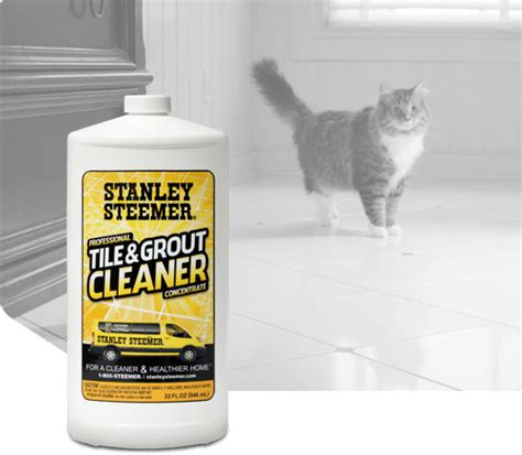 Stanley Steemer Tile and Grout Cleaning commercials