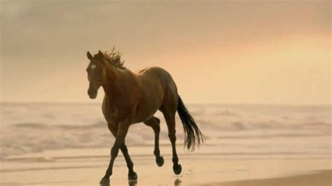 Strongbow TV commercial - Slow Motion Horse