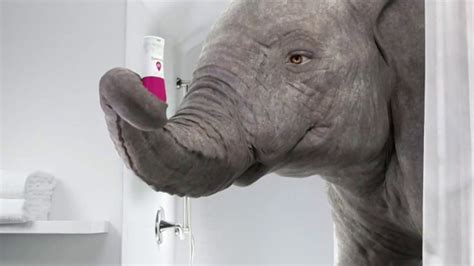 Summer's Eve TV Spot, 'The Elephant in the Bathroom: No Baby Powder Spray'