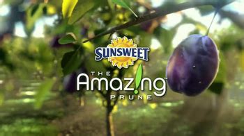 Sunsweet Plum Amazins TV commercial - Great on Anything