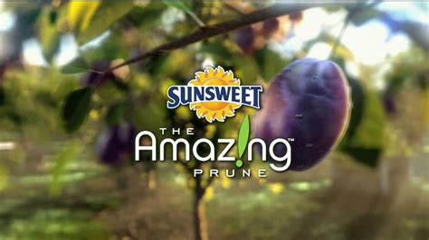 Sunsweet Plum Amazins TV commercial - Great on Anything