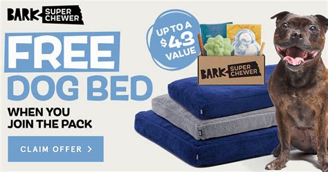 Super Chewer Barkfest in Bed Box