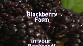 Sweet Dream Blackberries TV commercial
