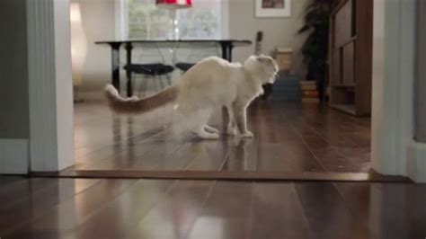 Swiffer TV commercial - Cat Hair Gets Everywhere