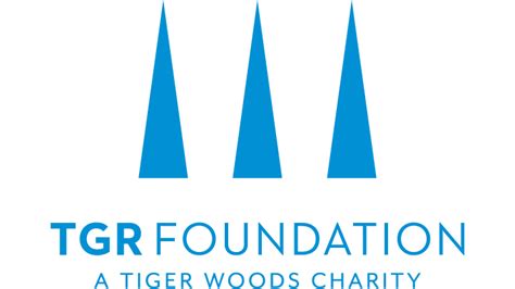 TGR Foundation My Swing logo