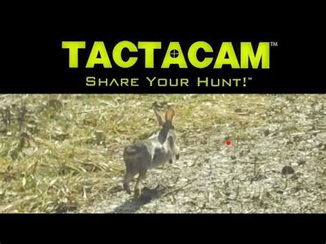Tactacam TV commercial - Share Your Hunt with Tactacam