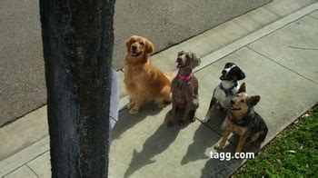 Tagg TV Spot, 'Lost Dogs' created for Tagg