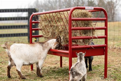 Tarter Farm & Ranch Equipment Dura Tough Small Animal Feeder logo