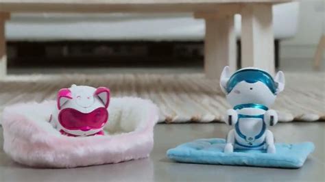 Tekno Newborns TV Spot, 'Puppies & Kitties' created for Tekno